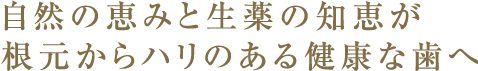 自然の恵みと生薬の知恵が根元からハリのある健康な歯へ