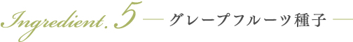 グレープフルーツ種子